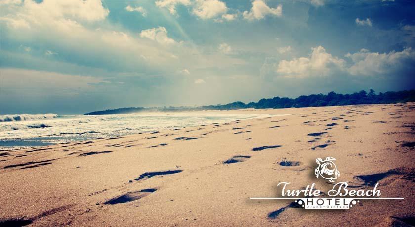Turtle Beach Hotel Ujunggenteng Δωμάτιο φωτογραφία